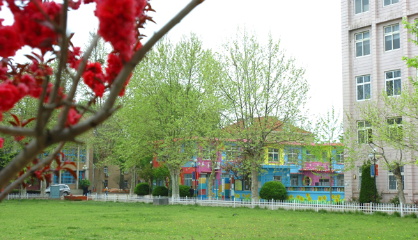 青科大与崂山区召开校地合作交流座谈会