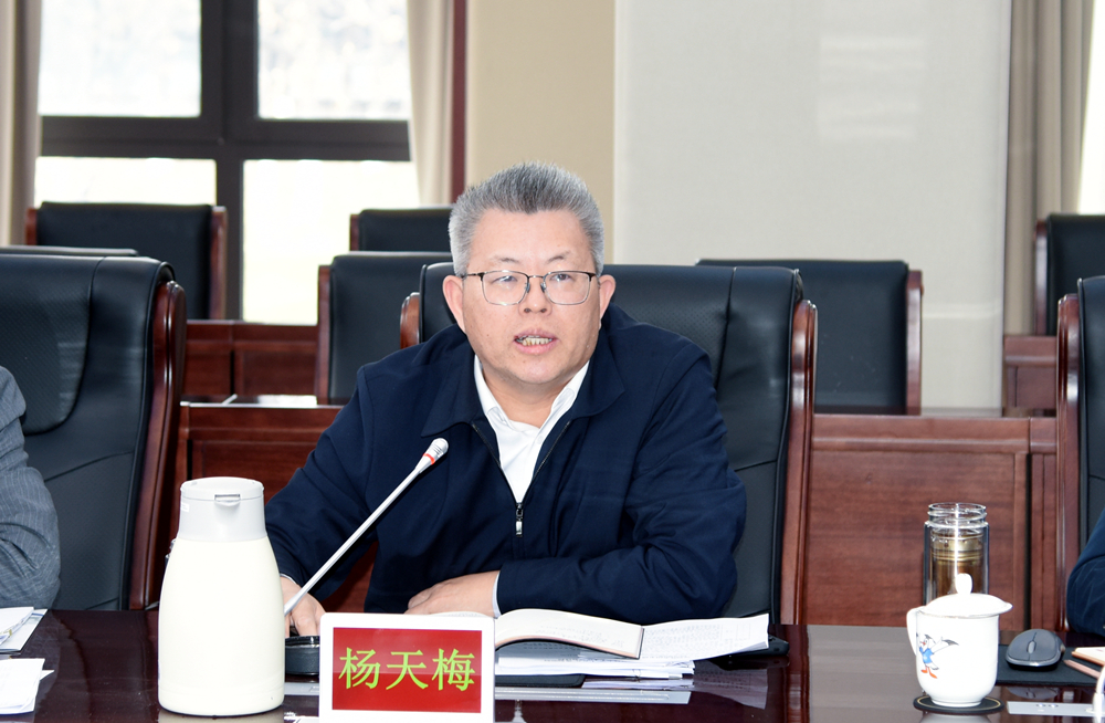 【聚焦“十五五”】学校召开“十五五”规划编制高层次人才座谈会